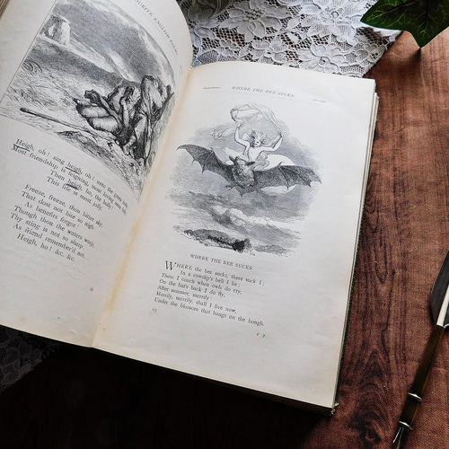 ゜+1870年 英国のエレガントな詩集 アンティークブック ヴィンテージ本