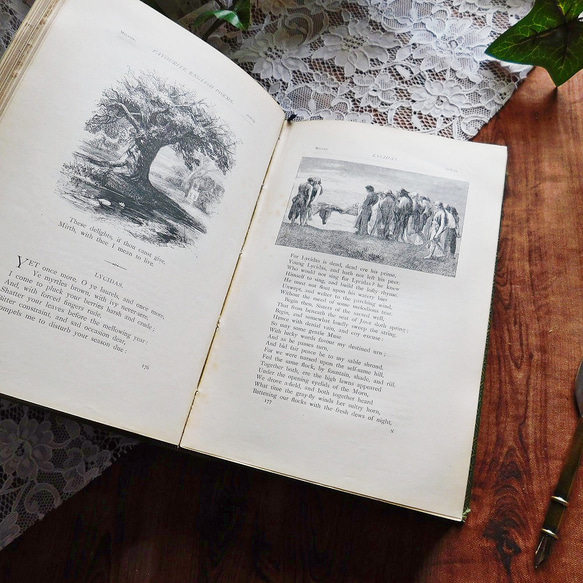 +..。*゜+1870年　英国のエレガントな詩集　アンティークブック　ヴィンテージ本　洋書　古書　アンティーク　文学　 8枚目の画像