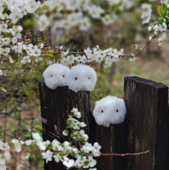 手のひらに、生きてるみたいな命の重み・もふもふの白いお友達③/フェイクファー/ぬいぐるみ/小鳥/シマエナガ/癒し/ギフト 1枚目の画像