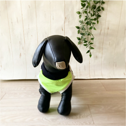 【再販】ボストンテリア・フレブル柄 Mr.BT❤︎ 春夏 スポーツタイプタンクトップ ドッグウェア　犬服 8枚目の画像