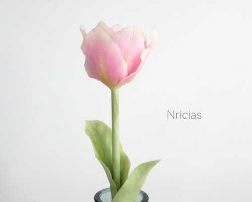 〜枯れないチューリップのオーダーについて〜 f2e842b26811c6198fe67f0629a76a