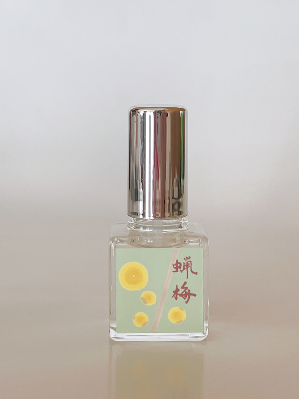 香りを愛でる【蝋梅】 1枚目の画像