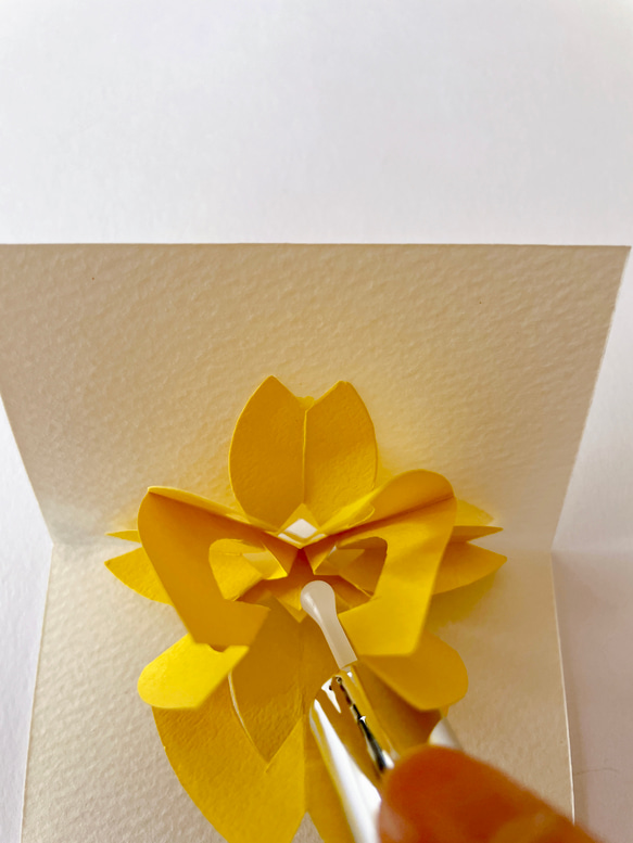 香りを愛でる【蝋梅】 4枚目の画像