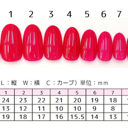 【サイズオーダー】 ネイルチップ　ニュアンス　春　桜　フラワー　ミラー 7枚目の画像