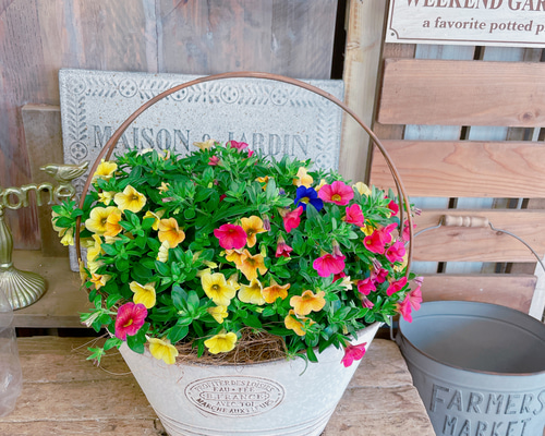 5b3369af5b1a2b55681bed6c67faaa