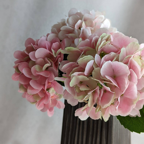 まるで本当の紫陽花みたい!大輪の紫陽花が美しいアーティフィシャル