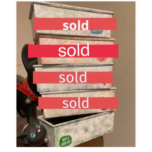 多肉植物寄せ植え 韓国苗と普及種 多肉植物 galleryk's植物 通販