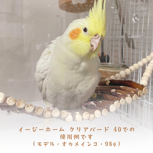 ゆらゆらピンクビーズバードトイ セキセイインコ オカメ 文鳥