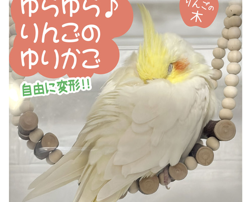 うめりんご❤️小鳥ちゃん❤ゆらゆらハーフハウス❤️インコ 文鳥 他 小鳥ちゃん❤ゆらゆらハーフハウス❤️ココア×ミルク❤️インコ