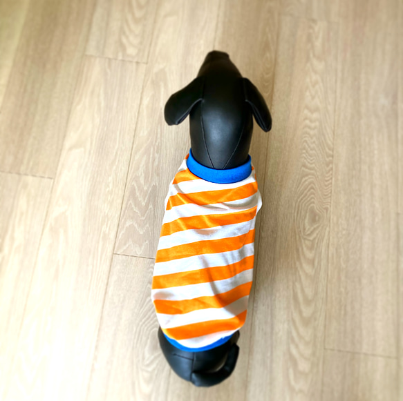 目立つ斜めボーダー柄 ❤︎  サマータンクトップ ドッグウェア　犬服　夜散歩 3枚目の画像