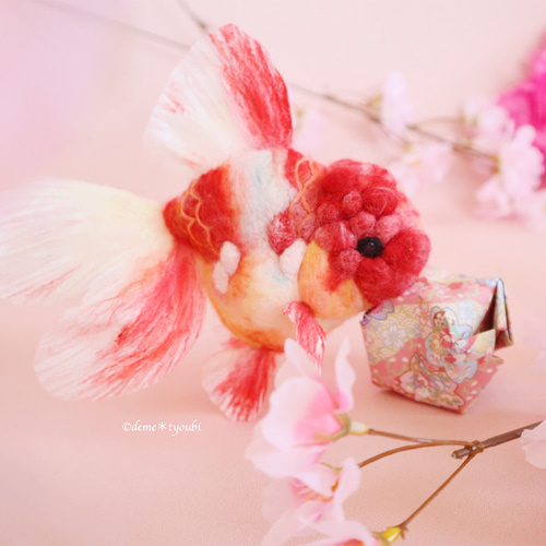 春金魚〜黒目がち桜オランダ〜