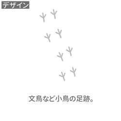 文鳥リサイクルポリエステル リップストップ パッカブルバッグ 「コトリの足跡」Mサイズ 8枚目の画像