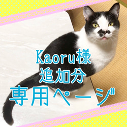 Kaoru様(追加分)専用ページ 1枚目の画像