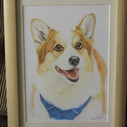 専用　色鉛筆画　絵画　原画　ペット　似顔絵　オーダーページです c0235647f1de89942964b2480cddb0