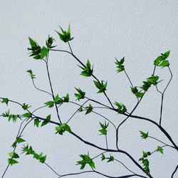新緑の季節〘枝もの〙 8枚目の画像