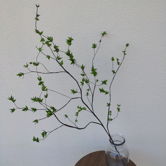 新緑の季節〘枝もの〙 7枚目の画像