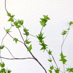 新緑の季節〘枝もの〙 6枚目の画像