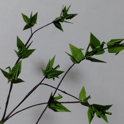 新緑の季節〘枝もの〙 9枚目の画像