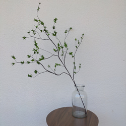 新緑の季節〘枝もの〙 5枚目の画像