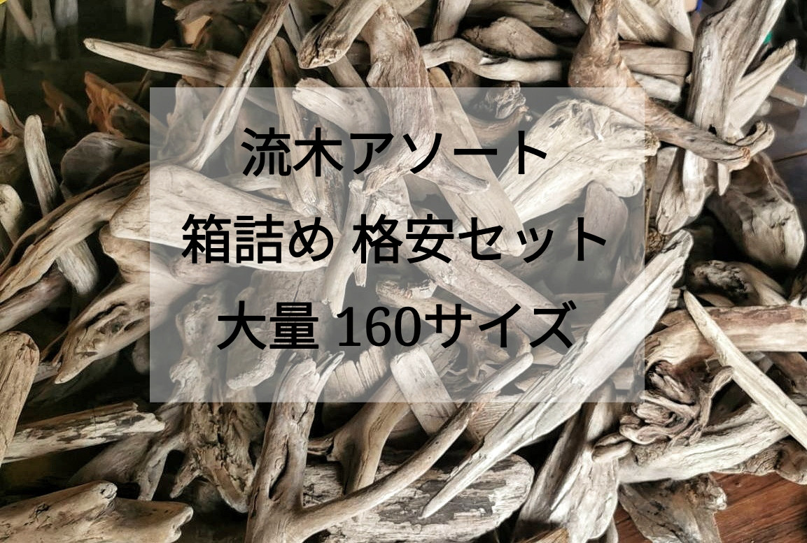 【送料無料】まがり屋流木 南信州産 天然流木 おまかせアソート 160サイズ箱詰めセット 大量 卸売