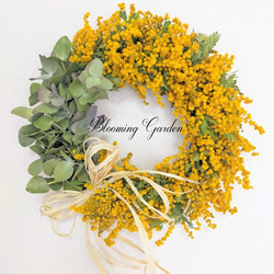 1点限り ユーカリのリース ドライフラワー ナチュラル 約22㎝ 誕生日