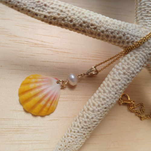 ハワイ購入【希少】サンライズシェル付プカシェル ネックレス ハワイ購入【希少】サンライズシェル付プカシェル ネックレス