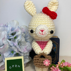 オシャレうさぎちゃんの編みぐるみ☆ あみぐるみ Nstar☆'s