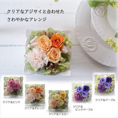 全12色 母の日 プレゼント カーネーション ギフト プリザーブド