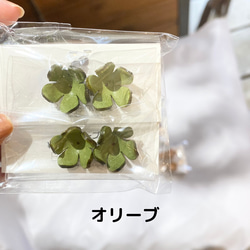 【アウトレット】プルメリア花型Sサイズ４個入 10枚目の画像