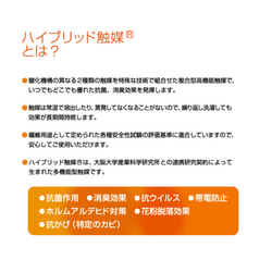 【抗菌／消臭加工】穴あき インナーマスク｜Bタイプ 7枚目の画像