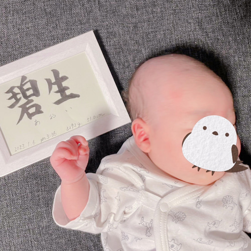 RKKO　ハガキサイズ手書きオーダー命名書 オーダー命名書 フレーム付 ハガキサイズ 美しく、品がある