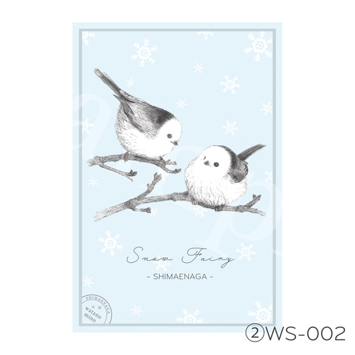 ことりポストカード 6枚セット/シマエナガ ポストカード watano mino