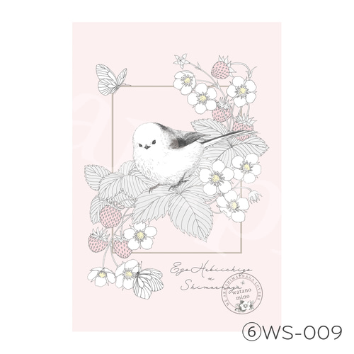 ことりポストカード 6枚セット/シマエナガ ポストカード watano mino