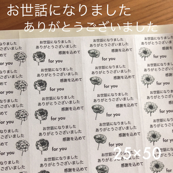 25×50 お世話になりましたシール 感謝を込めて A4シートロゴボタニカル