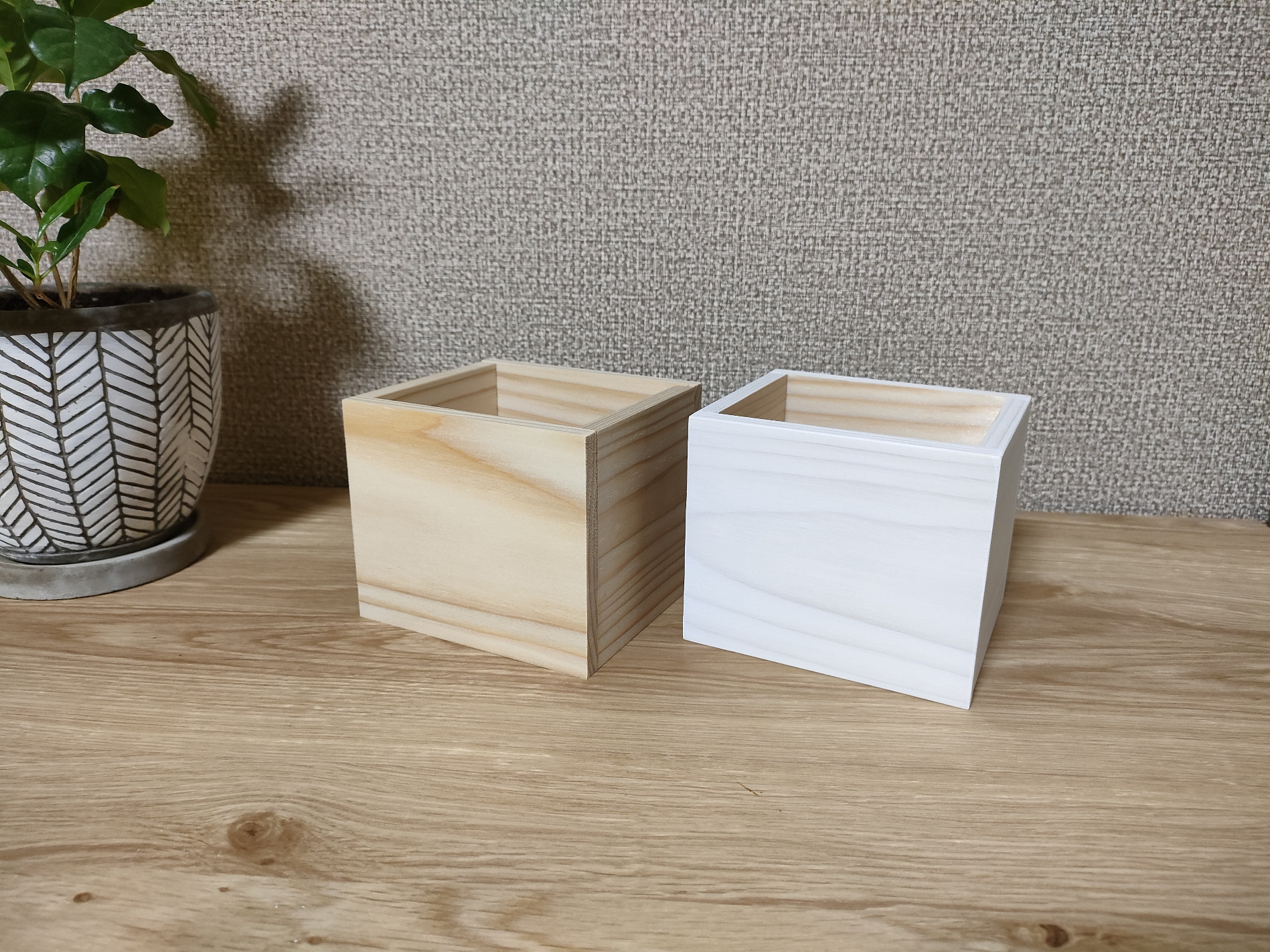 葉と猫のデザイン 八角形皿 専用木箱付き fit=scale-down,w=1200