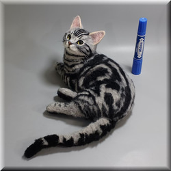 羊毛フェルト　猫　アメリカンショートヘア　ねこ　ネコ　アメショ　猫フィギュア 4枚目の画像
