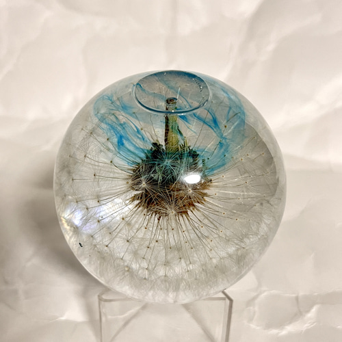 たんぽぽの綿毛 レジン標本アート ドライフラワー 7階の工作室 通販