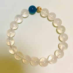 珍しい猫の天珠　クィーンコンクシェル回文殊と合わせたブレスレット素敵な逸品 珍しい猫の天珠 クィーンコンクシェル回文殊と合わせたブレスレット