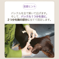 【新開発】ハーネス 犬 足/頭 触らず着用 超小型犬 小型犬 中型犬 軽量 抜けにくい 7枚目の画像