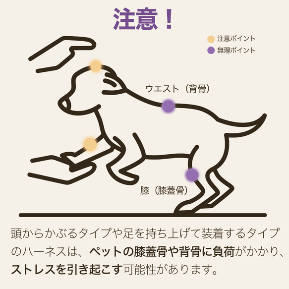 【新開発】ハーネス 犬 足/頭 触らず着用 超小型犬 小型犬 中型犬 軽量 抜けにくい 4枚目の画像