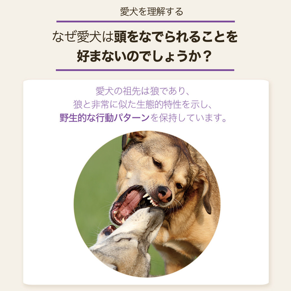 【新開発】ハーネス 犬 足/頭 触らず着用 超小型犬 小型犬 中型犬 軽量 抜けにくい 2枚目の画像