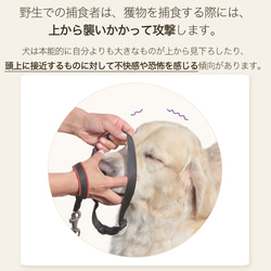 【新開発】ハーネス 犬 足/頭 触らず着用 超小型犬 小型犬 中型犬 軽量 抜けにくい 3枚目の画像