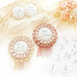 2歳児お姫様♡　フォトカード6点セット 赤ちゃんの月齢フォト♡出産祝いにも♡】月齢ロゼット 月齢