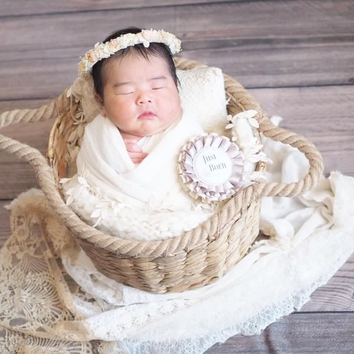 2歳児お姫様♡　フォトカード6点セット はがきサイズ】ハガキ ダルメシアン モノトーン 月齢フォト