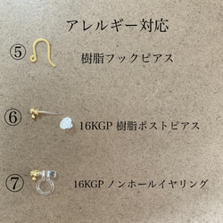 【春の福袋】ピアス／イヤリング  2点セット　送料無料 5枚目の画像