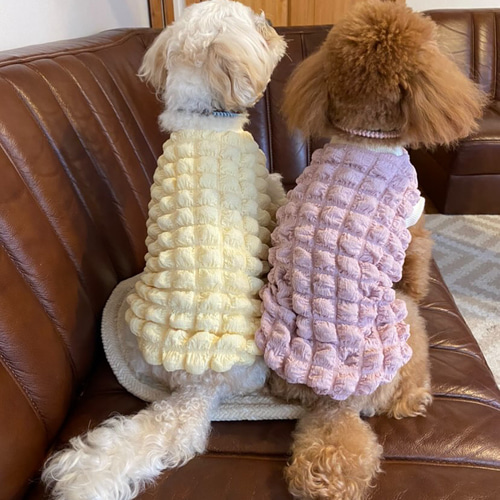 犬服・アクセサリー M&A 犬服‼︎エンボーワッフルニット イエロー☆XS.S.M.DXS.DS.DM