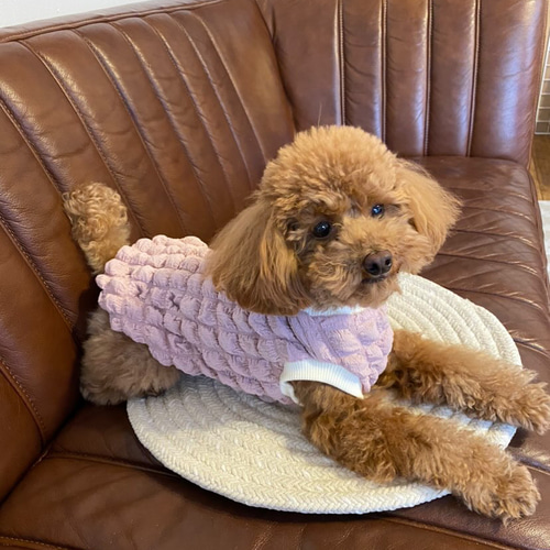 Haru☆プロフご覧ください様専用❣️手編み犬服 犬ニット