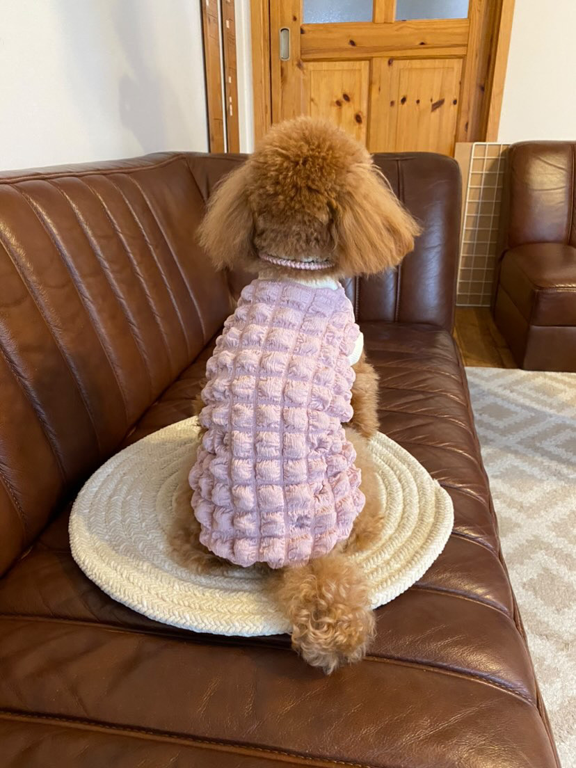 犬服♡ ❤︎BAMBINA❤︎ XSサイズ》ハートうさちゃんの重ね着風ワンピース 犬服 ドッグ