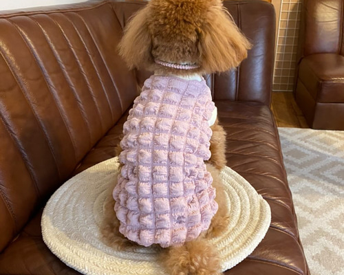 犬服 ハンドメイド☆ デニム風ニットのワンピース
