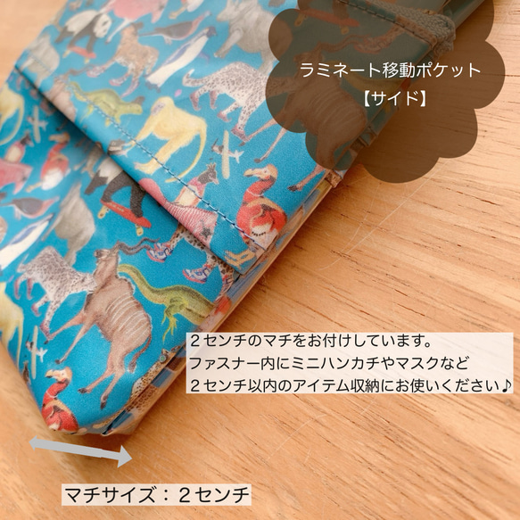  第5張的照片